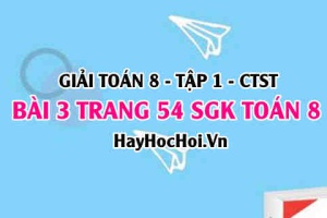Giải bài 3 trang 54 Toán 8 Tập 1 SGK Chân trời sáng tạo